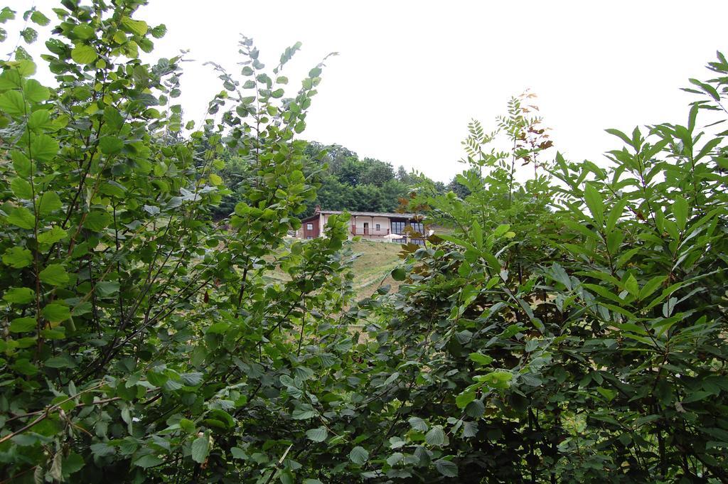 Sere Di Sosta Bagnolo Piemonte Екстер'єр фото